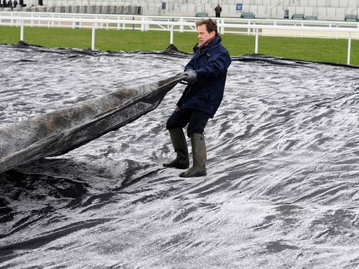 Frost covers: Have been employed at Ascot