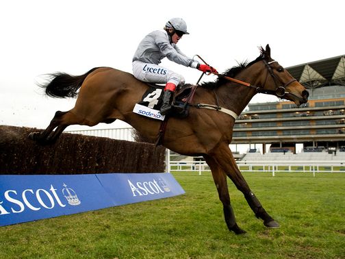 Invictus: Ruled out for the whole National Hunt season