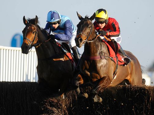 Duke Of Lucca: Can reward each-way support in the Racing Plus Chase