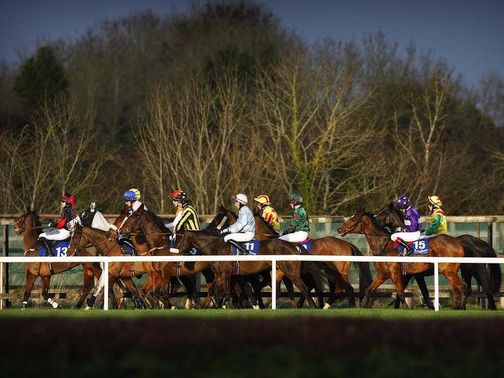 Fairyhouse: Needs a bit of luck
