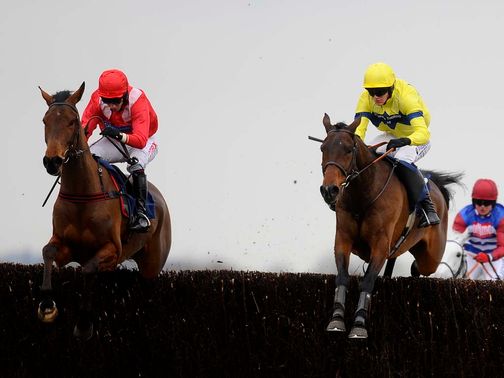 Micheal Flips (right): Worth a bet at Newbury