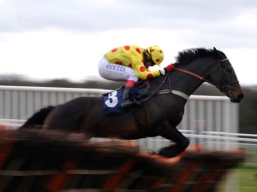 Montbazon and Robert Thornton score at Newbury
