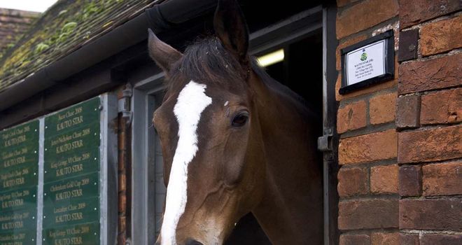 Kauto Star: In good form