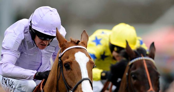 Tetlami looks primed to run a big race on Sunday
