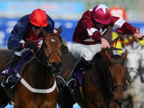 Bobs Worth (left): Set to take his chance in the Hennessy