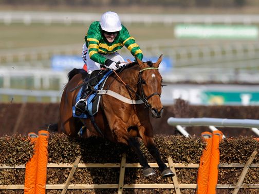 Binocular: One of eight entries for Nicky Henderson
