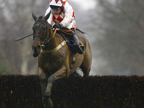 Flemenstar: Set to step up in trip
