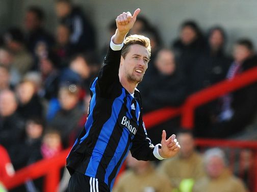 Peter Crouch: Backed for recall by Pulis