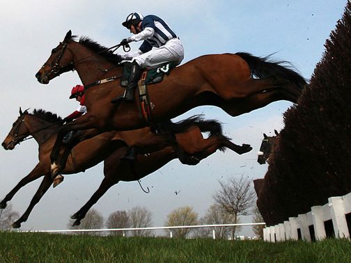 Teaforthree: Now the mount of AP McCoy