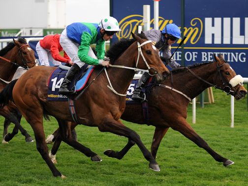 Brae Hill: Could head back to Doncaster to defend title