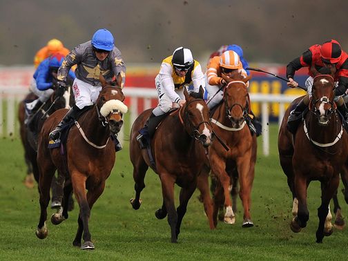 Brae Hill (left) won last year's Lincoln