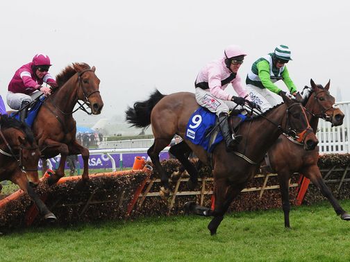 Oscars Well: Boxing Day entry