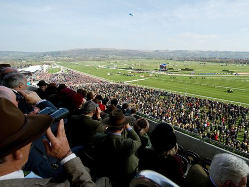 There will be no action at Cheltenham on New Year's Day.