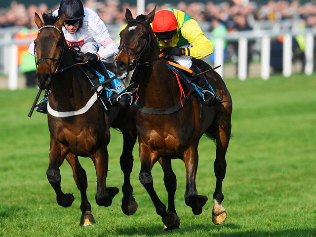 Sizing Europe: Faces just four rivals at Clonmel