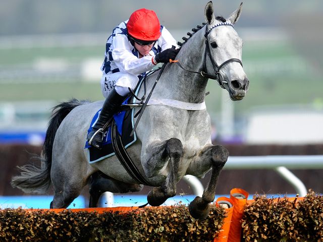 Simonsig: Set for his chasing debut