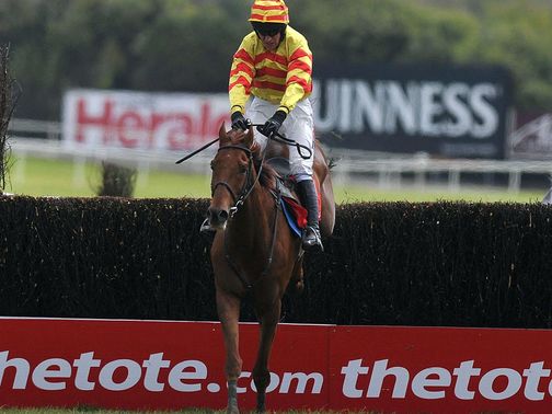 China Rock: On course for the Irish Hennessy