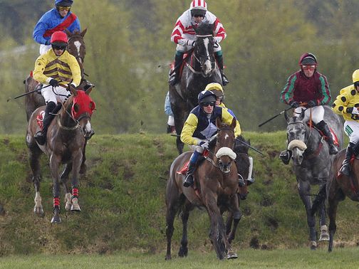 The action goes ahead at Punchestown.