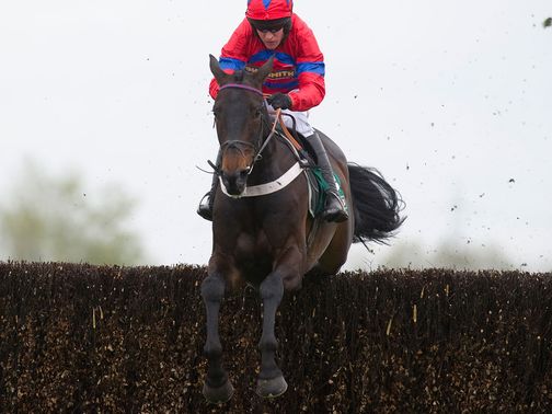 Sprinter Sacre: Soft ground will not be ideal