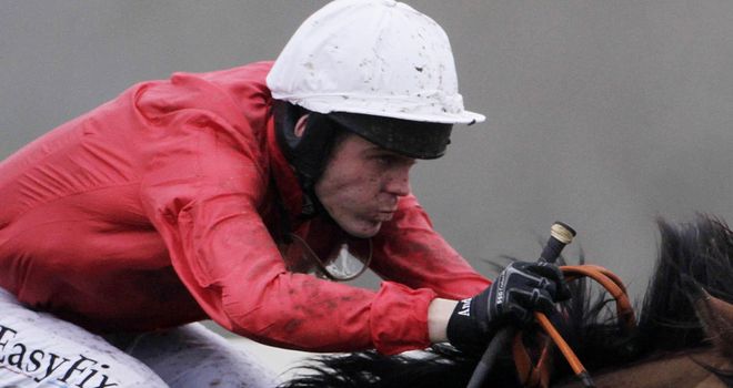 Andrew McNamara rode Western Leader to victory last time