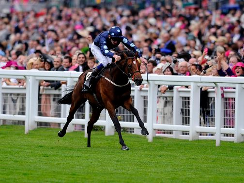 Reckless Abandon: Value bet in the Middle Park