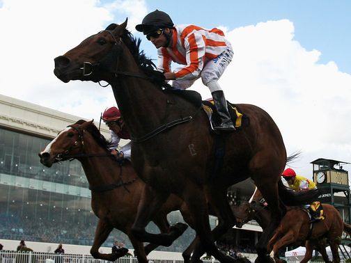 Ortensia: Breeders' Cup option