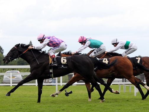 Thomas Chippendale: Could spring a surprise