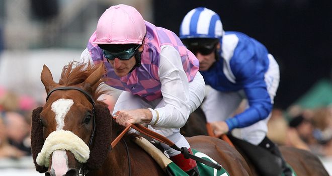 Sans Frontieres: Could have a career at stud