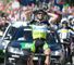 Michael Albasini: Took stage eight win after being lone survivor from break