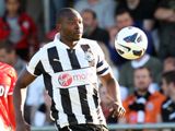 Shola Ameobi