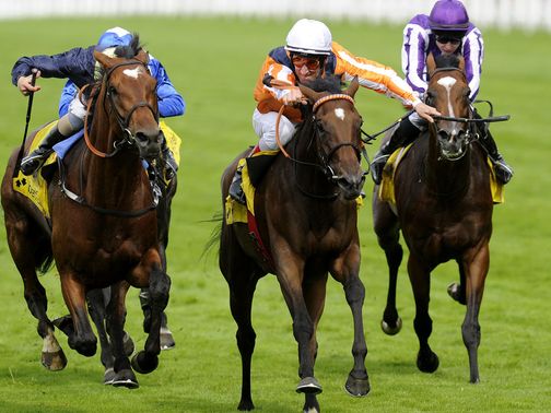 Danedream: Has been ruled out of the Arc