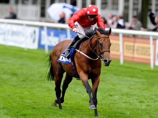 Mayson: Misses the big race at Haydock