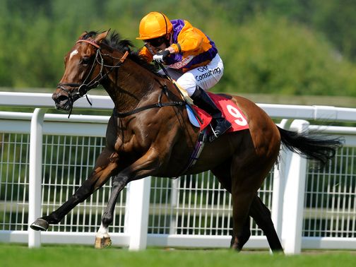 Roz: Looks overpriced in Fillies' Mile