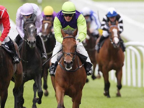 Sendmylovetorose: Moyglare fancy