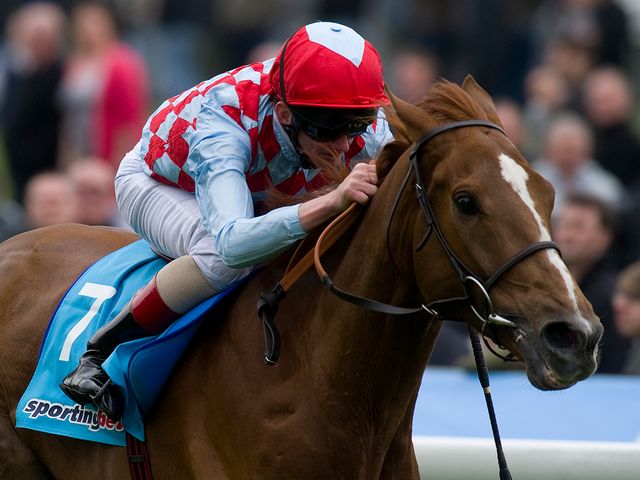 Red Cadeaux: Globe-trotter