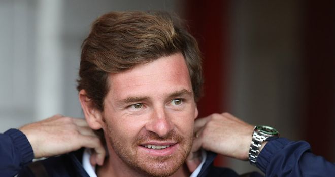 Andre Villas-Boas: Looking to put his own stamp on Tottenham's squad