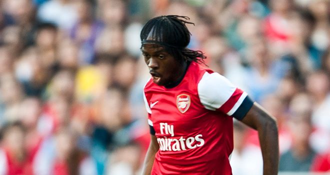 Gervinho: Hoping to emulate Robert Pires during his second season at Arsenal