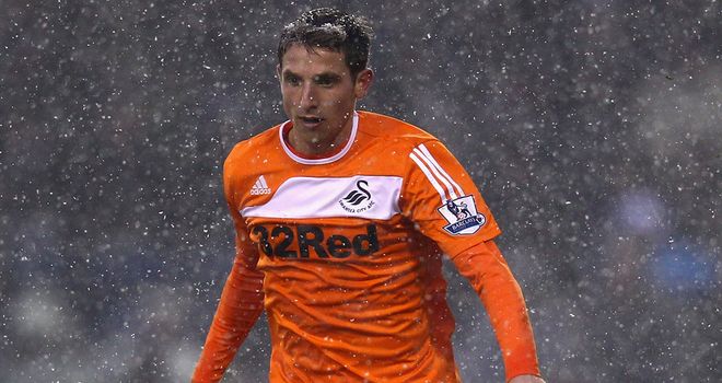 Joe Allen: Described as a 'very talented player' by former Swansea boss Brendan Rodgers