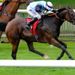 Bonnie Brae thrived in the soft conditions in the Bunbury Cup