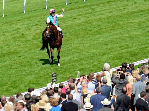 Tom Queally waves to the crowd after Frankel's win
