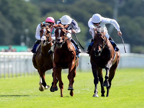 Thought Worthy: Edged out the favourite Main Sequence