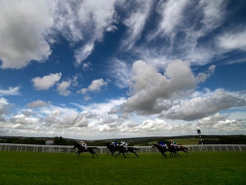Quest For Peace (apparently) gets the racing underway...&nbsp;