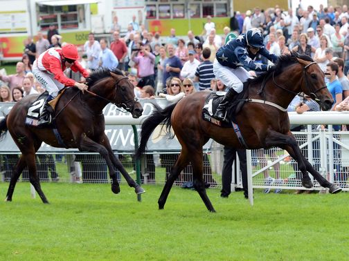 Kirthill: November Handicap fancy