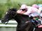 Follow The Fugue