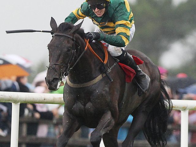 Bob Lingo: Ready for Thursday test at Clonmel