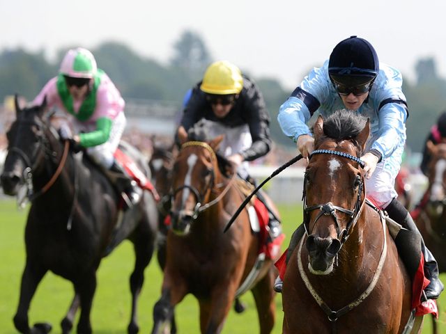 Guarantee: Worked well in blinkers