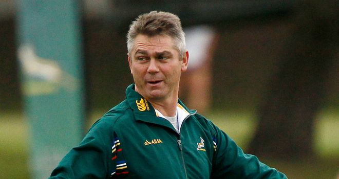 Heyneke Meyer: Bemoaned his side's inexperience following their weekend draw
