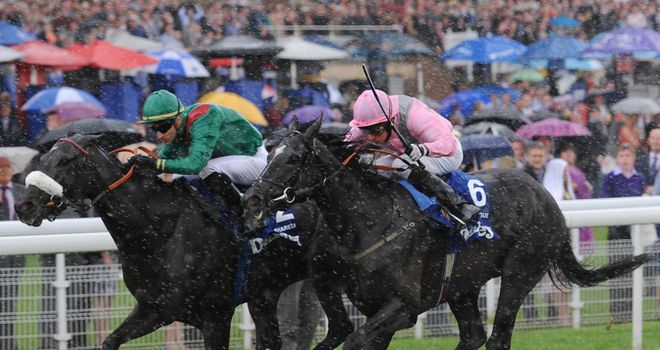 Shareta: Has better acceleration than last year
