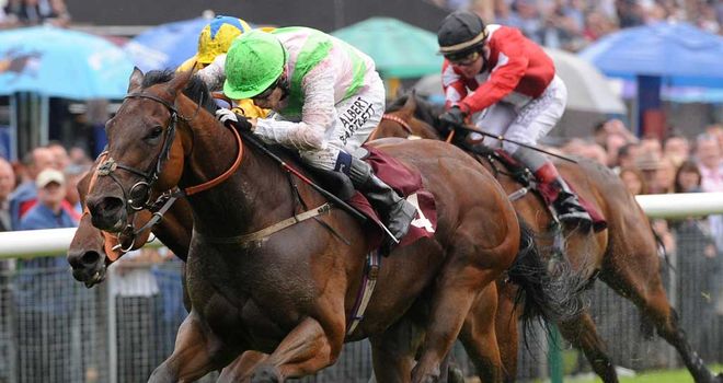 Alben Star: Favourite for the Great St Wilfrid