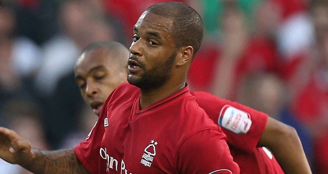 David McGoldrick: Linked with a loan move to Coventry City