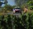 Sebastien Loeb: Chosen to start in third place on Friday